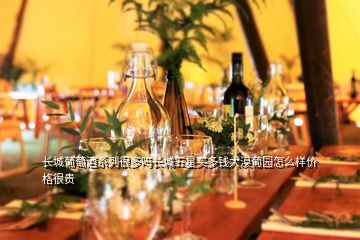 長城葡萄酒系列很多嗎長城五星買多錢大漠葡園怎么樣價(jià)格很貴