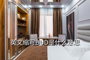 英文縮寫B(tài)UD是什么意思