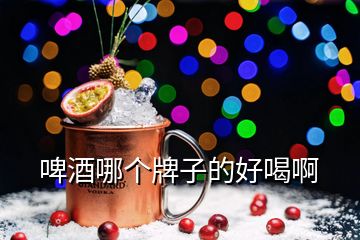 啤酒哪個牌子的好喝啊