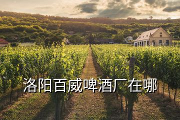 洛陽百威啤酒廠在哪