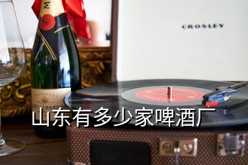 山東有多少家啤酒廠