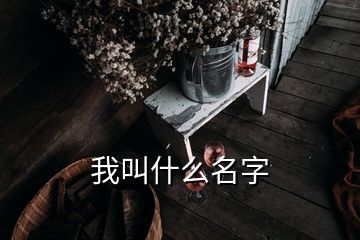 我叫什么名字