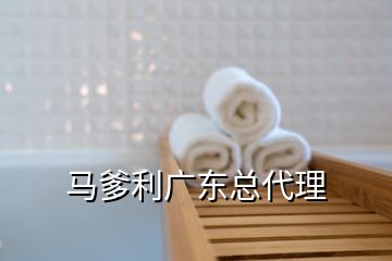 馬爹利廣東總代理