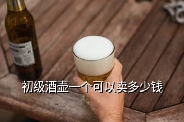 初級(jí)酒壺一個(gè)可以賣多少錢