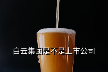 白云集團是不是上市公司