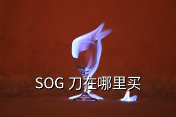 SOG 刀在哪里買(mǎi)