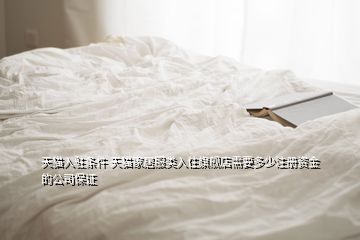 天貓入駐條件 天貓家居服類入住旗艦店需要多少注冊(cè)資金的公司保證