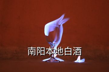 南陽(yáng)本地白酒