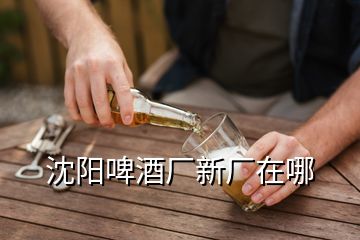 沈陽啤酒廠新廠在哪