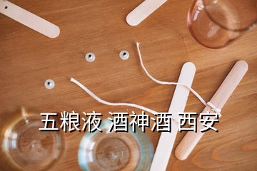 五糧液 酒神酒 西安