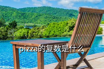 pizza的復(fù)數(shù)是什么