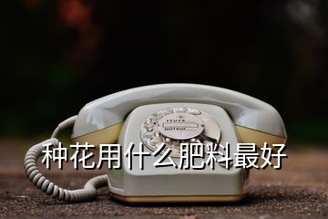 種花用什么肥料最好