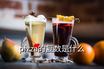 pizza的復(fù)數(shù)是什么