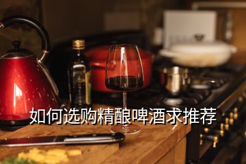 如何選購精釀啤酒求推薦