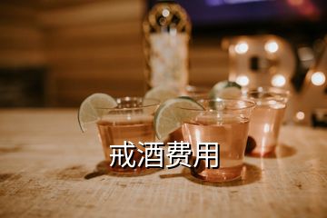 戒酒費(fèi)用