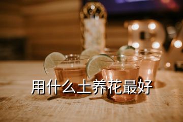 用什么土養(yǎng)花最好