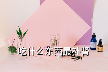 吃什么東西最補(bǔ)腎