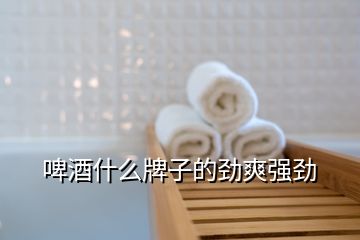 啤酒什么牌子的勁爽強(qiáng)勁