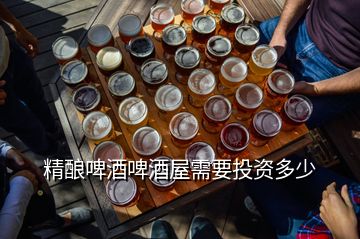 精釀啤酒啤酒屋需要投資多少