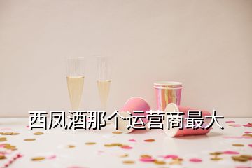 西鳳酒那個(gè)運(yùn)營(yíng)商最大