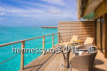 hennessyxo多少錢一瓶