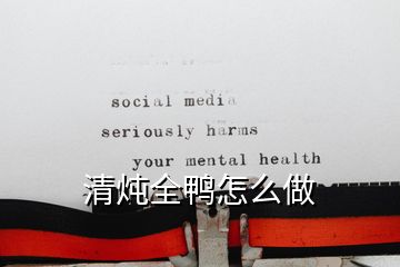 清燉全鴨怎么做