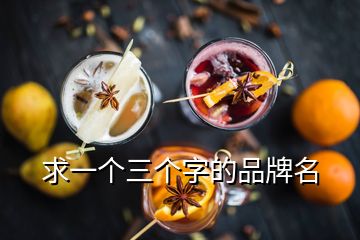 求一個(gè)三個(gè)字的品牌名