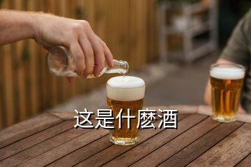 這是什麼酒