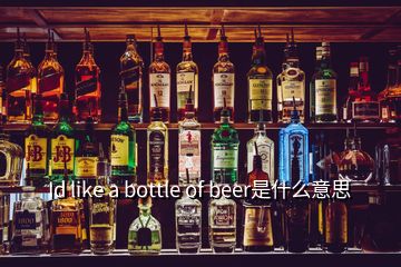 Id like a bottle of beer是什么意思