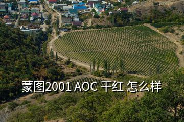 蒙圖2001 AOC 干紅 怎么樣