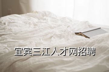 宜賓三江人才網(wǎng)招聘