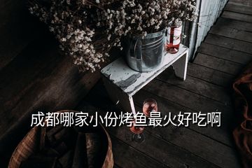 成都哪家小份烤魚最火好吃啊