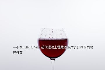 一個兄弟讓我和他一起代理泥土埋藏酒喝了幾回感覺口感還行有