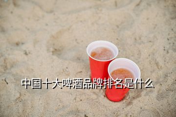 中國十大啤酒品牌排名是什么