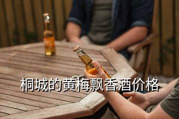 桐城的黃梅飄香酒價格