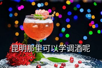 昆明那里可以學(xué)調(diào)酒呢