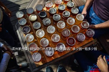 貴州茅臺鎮(zhèn)小醉仙酒仁懷市茅臺鎮(zhèn)遠明釀酒廠多少錢一瓶多少錢一瓶