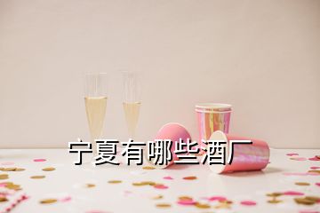 寧夏有哪些酒廠