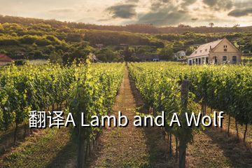 翻譯A Lamb and A Wolf