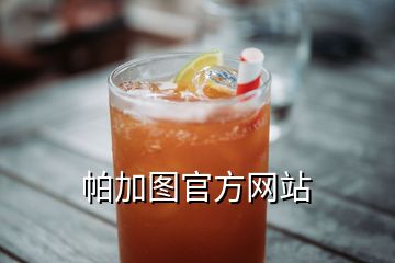 帕加圖官方網(wǎng)站