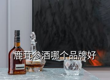 鹿茸參酒哪個(gè)品牌好