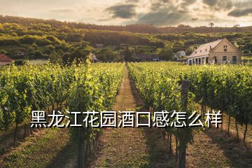 黑龍江花園酒口感怎么樣