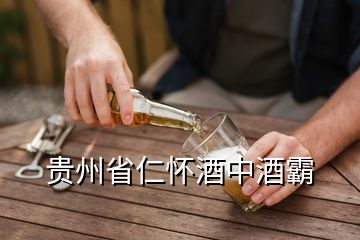 貴州省仁懷酒中酒霸