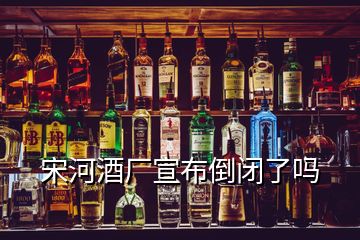 宋河酒廠宣布倒閉了嗎