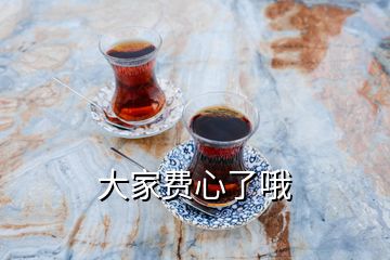 大家費(fèi)心了哦