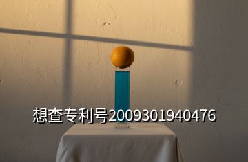 想查專利號2009301940476