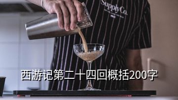 西游記第二十四回概括200字