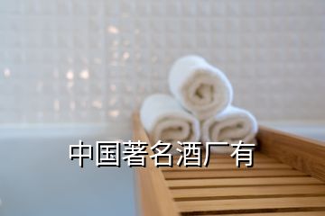 中國(guó)著名酒廠有