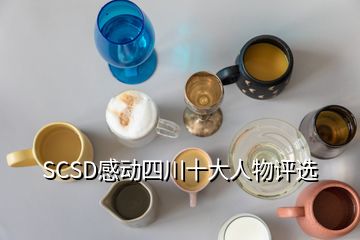 SCSD感動(dòng)四川十大人物評(píng)選