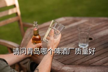 請問青島哪個啤酒廠質(zhì)量好